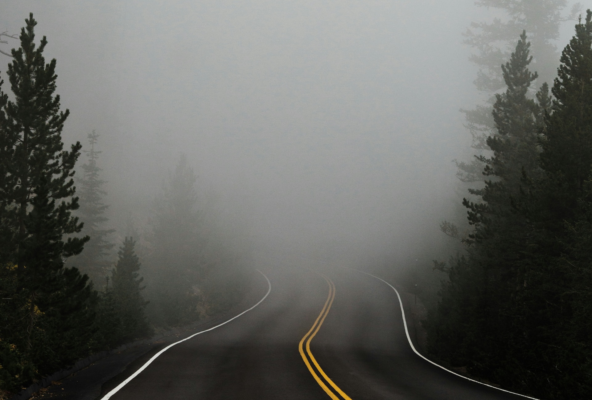 A paved road winding through a dense fog with tall pine trees on both sides, creating a scene where the path ahead is difficult to see. The image symbolizes unclear direction and the confusion caused by poor website navigation.