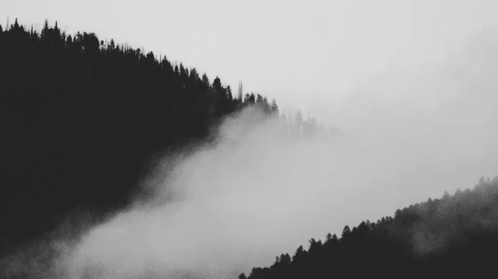 Pine-covered mountain ridges partially hidden by drifting fog and mist